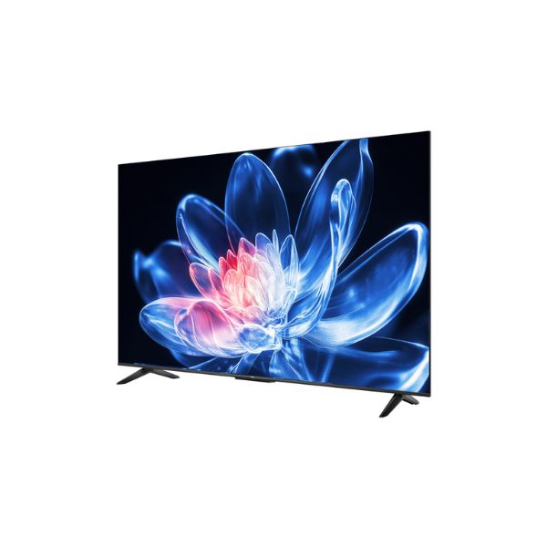 TCL T6C Series 55T6C – Specifications
