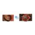 TCL C8K Series 85C8K vs TCL C9K Series 85C9K